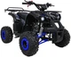 Квадроцикл Wildpeak 110CC бензиновий синій PSP.ATV006.NIE (5903864960518) - зображення 15