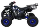 Квадроцикл Wildpeak 110CC бензиновий синій PSP.ATV006.NIE (5903864960518) - зображення 16