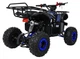 Квадроцикл Wildpeak 110CC бензиновий синій PSP.ATV006.NIE (5903864960518) - зображення 20