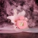 Тестер Парфумована вода для жінок Antonio Banderas Her Secret Pink Absolu 80 мл - зображення 3