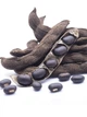 Мукуна жгучая Mucuna pruriens (лиана), семена 2 шт. - изображение 2