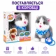 Интерактивный котик на поводке 25 см - ходит, реагирует на прикосновения, звуки, облизывает, запись голоса - изображение 8