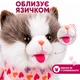 Интерактивный котик на поводке 25 см коричнево-белый - ходит, звуки, облизывает язычком, запись голоса - изображение 5
