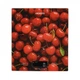 Весы кухонные Ardesto 5кг стекло красное (SCK-893CHERRY) - изображение 1