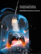 Ортопедический рюкзак школьный для мальчика с Джойтиком School Standard 38х30х18 см в 1 класс (170-74) - изображение 9