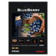 Кабель HDMI Audioquest BlueBerry 18G 1,5m - изображение 2