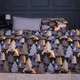 Простирадло Ranforce Elite 17-0680 Holiday Harmony 150*220 - зображення 2