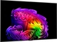 Телевизор LG OLED 55" OLED55G64LW - изображение 4