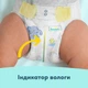 Подгузники Pampers Premium Care размер 5 (11-16 кг) 160 шт - изображение 4