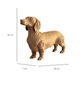 Такса (Dachshund) - Картонний 3Д пазл Cartonic - зображення 3