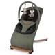 Шезлонг Kidwell Rubi green/black wooden - зображення 1