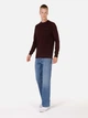 Джемпер мужской Colin's CL1071309BRD M Bordeaux (8684112320182) - изображение 3
