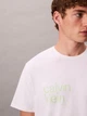 Футболка хлопковая мужская Calvin Klein 4RD810G(White) L Белая с принтом (196669381304) - изображение 6