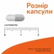 Псиллиум Now Foods порошок оболочки семян подорожника в капсулах 500 мг 200 капсул - изображение 4