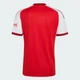 Чоловіче домашнє джерсі Arsenal FC 26/27 Home adidas JZ3168 (S) червоний (4069989165366) - зображення 7