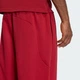 Мужские брюки COLLEGIATE adidas KC0731 (XS) Бордовый (4068822933964) - изображение 5