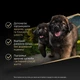Сухой корм для собак Purina Pro Plan Large Robust Puppy Sensitive Skin с лососем для щенков крупных пород массивного телосложения с чувствительной кожей 12 кг (8445290502254) - изображение 5
