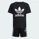 Дитячий комплект: футболка та шорти Adicolor Kids adidas JC9155 (104) чорний (4067902615929) - зображення 6