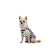 Одежда Pet Fashion Tropic Майка для собак XХS (1111225441) - изображение 4