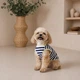 Одежда Pet Fashion Tropic Майка для собак XХS (1111225441) - изображение 5
