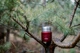 Термос пищевой Tribe Food Jar Бордовый 350 мл (T-DE-0021-red) - изображение 8