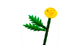 Конструктор Lego Field Flowers Polybag Botanicals 30701 - изображение 3