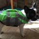 Спасательный жилет для собак Derby Reflective Dog Life Jacket, L - изображение 3
