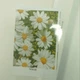 Картина по номерам "Ромашки" 40×50 см - изображение 3