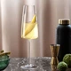 Набір фужерів для шампанского 27 см, 2 предмети, MetroChic Villeroy & Boch - зображення 2