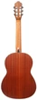 Гітара класична Prodipe Guitars Primera 1/4 - зображення 2
