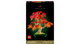 Конструктор Lego Бонсай из Японского Красного Клена Botanicals 10348 - изображение 2