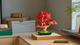 Конструктор Lego Бонсай из Японского Красного Клена Botanicals 10348 - изображение 4
