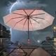 Жіноча парасолька автомат Rainwalker Cats R4054 Red на 9 спиць - зображення 7