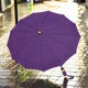 Жіноча парасоля автомат ALLANIO Gold 9012 Lilac 12 спиць - зображення 1
