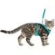 Шлейка для котів Trixie Y-Harness бірюзова 39-60 см 10 мм 1 м (MLZ12046) - зображення 2
