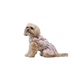 Платье для собак Pet Fashion Amelia белое с цветочным принтом XS (MLZ12157) - изображение 2