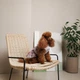 Платье для собак Pet Fashion Amelia белое с цветочным принтом XS (MLZ12157) - изображение 7