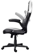 Игровое кресло Trust GXT 703W RIYE, Black/White (25130) - изображение 4
