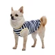 Майка для собак Pet Fashion Tropic XS-2 - біло-синій - зображення 4