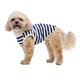 Майка для собак Pet Fashion Tropic S - біло-синій - зображення 6