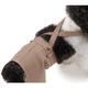 Шорти для собак Pet Fashion Leo M - бежевий - зображення 8