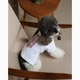 Футболка для собак Pet Fashion Ukraine XS - білий - изображение 8