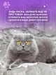 Когтеточка для кота кошек дряпка царапка картонная лежанка когтедралка точилка для когтей кошки котов VMHouse напольная когтеточки когтедралки из картона гофрокартона (0070-0101) - изображение 7