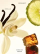 Парфумований бальзам для тіла Rare Beauty Fragrance Layering Balm Amber Vanilla (42854913179783) - зображення 4