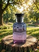 Парфуми Louis Vuitton California Dream 100 мл унісекс з мандарином грушею мускатним горіхом та бензоїном м'який шлейф - зображення 3
