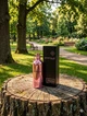 Парфюм Montale Roses Musk 100 мл женские цветочно-мускусный аромат с жасмином и непальской розой - изображение 1