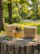 Парфюм Burberry My Burberry 90 мл женские цветочно-фруктовый шлейф с бергамотом фрезией и дамасской розой - изображение 3