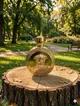 Парфуми Versace Eros Pour Femme 100 мл для жінок з гранатом жасмином та мускусом квітково-деревний аромат шлейф - зображення 3