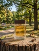 Парфюм Dolce & Gabbana The One for Men 100 мл мужские насыщенный табачно-амбровый шлейф с грейпфрутовыми цитрусами и пряными нотами - изображение 3