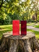 Парфюм Armand Basi In Red EDP 100 мл женские нежный цветочно-мускусный шлейф с пряным имбирем и розой - изображение 1